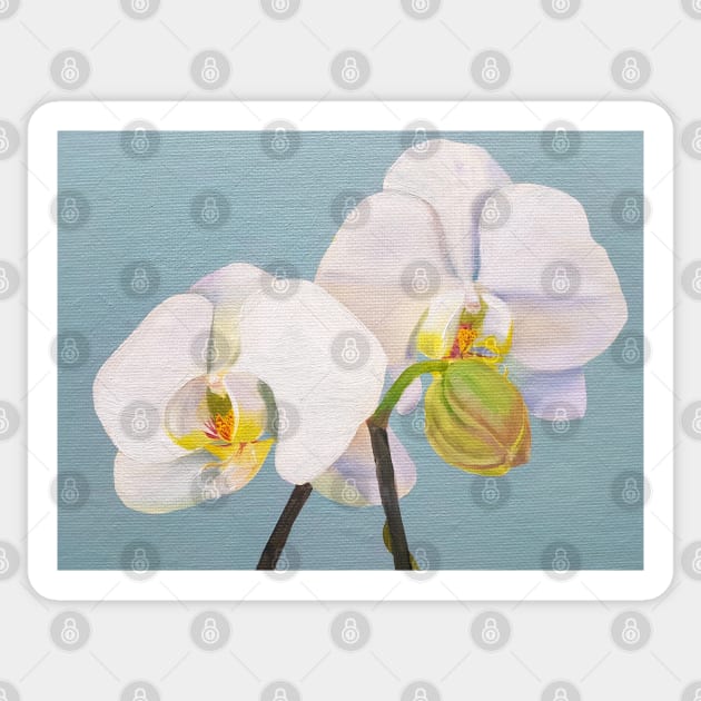 Phaelenopsis - moth orchid painting on pale green Sticker by EmilyBickell